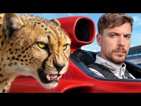 World&#039;s Fastest Car Vs Cheetah!