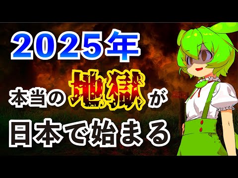 2025年問題で日本はどうなるのか/生活への影響と対策【ずんだもん解説】