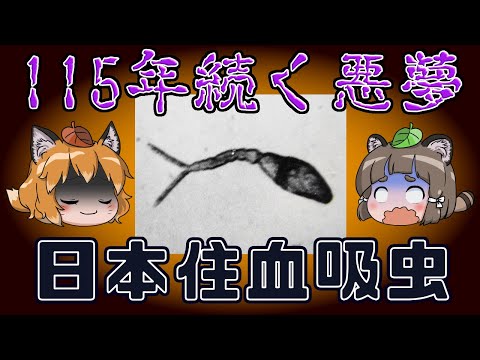 【ゆっくり解説】115年続いた地方病「日本住血吸虫」の恐怖