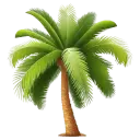 Iconarchive-Seaside-Palm-Tree.128